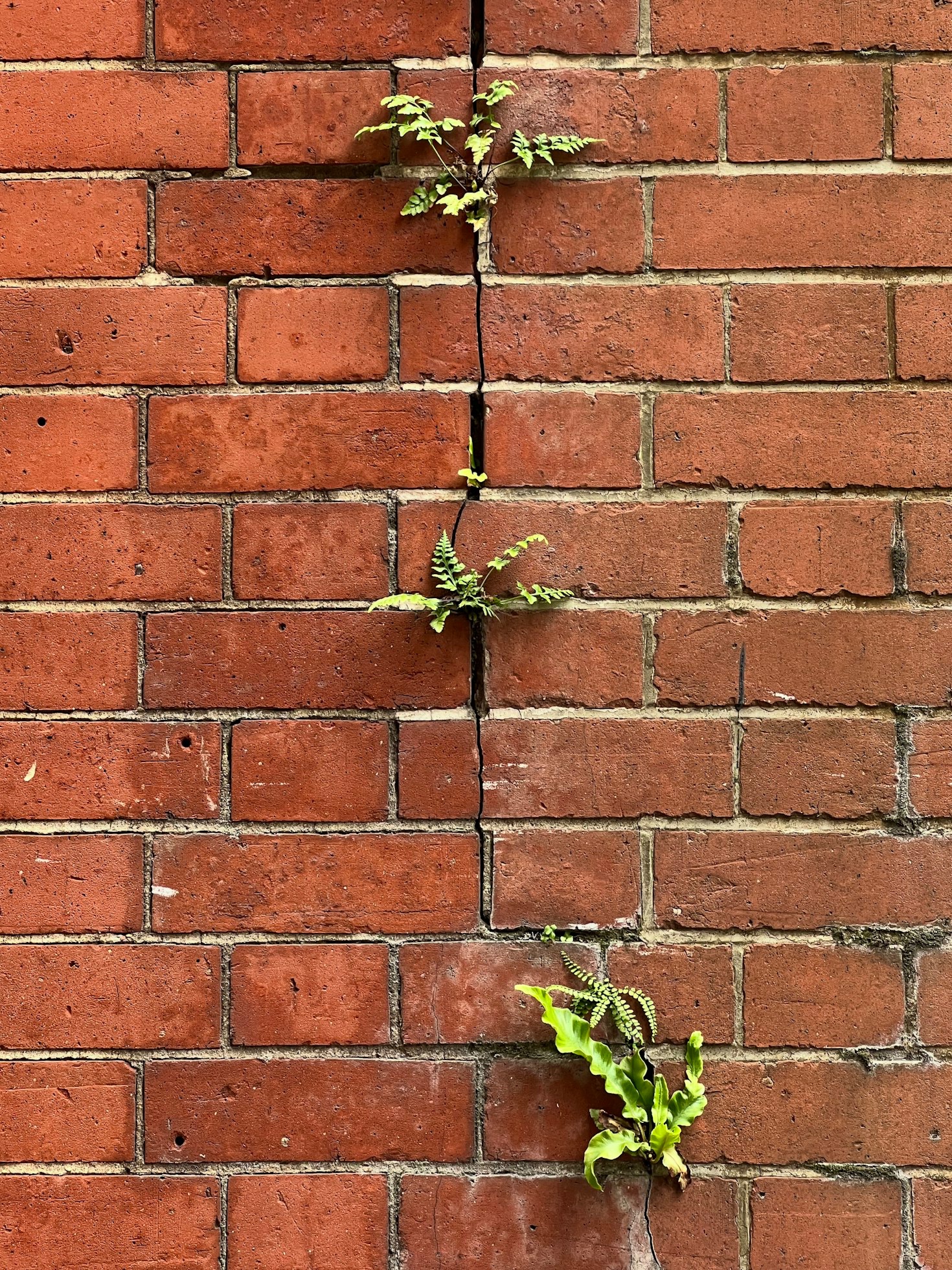 Fostering Personal Growth in a Professional Setting